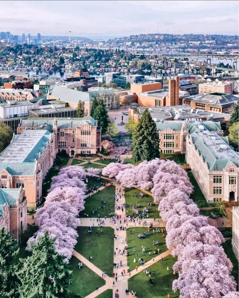 盆唐矿业科技大学